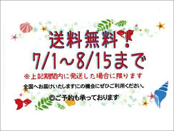 送料無料
